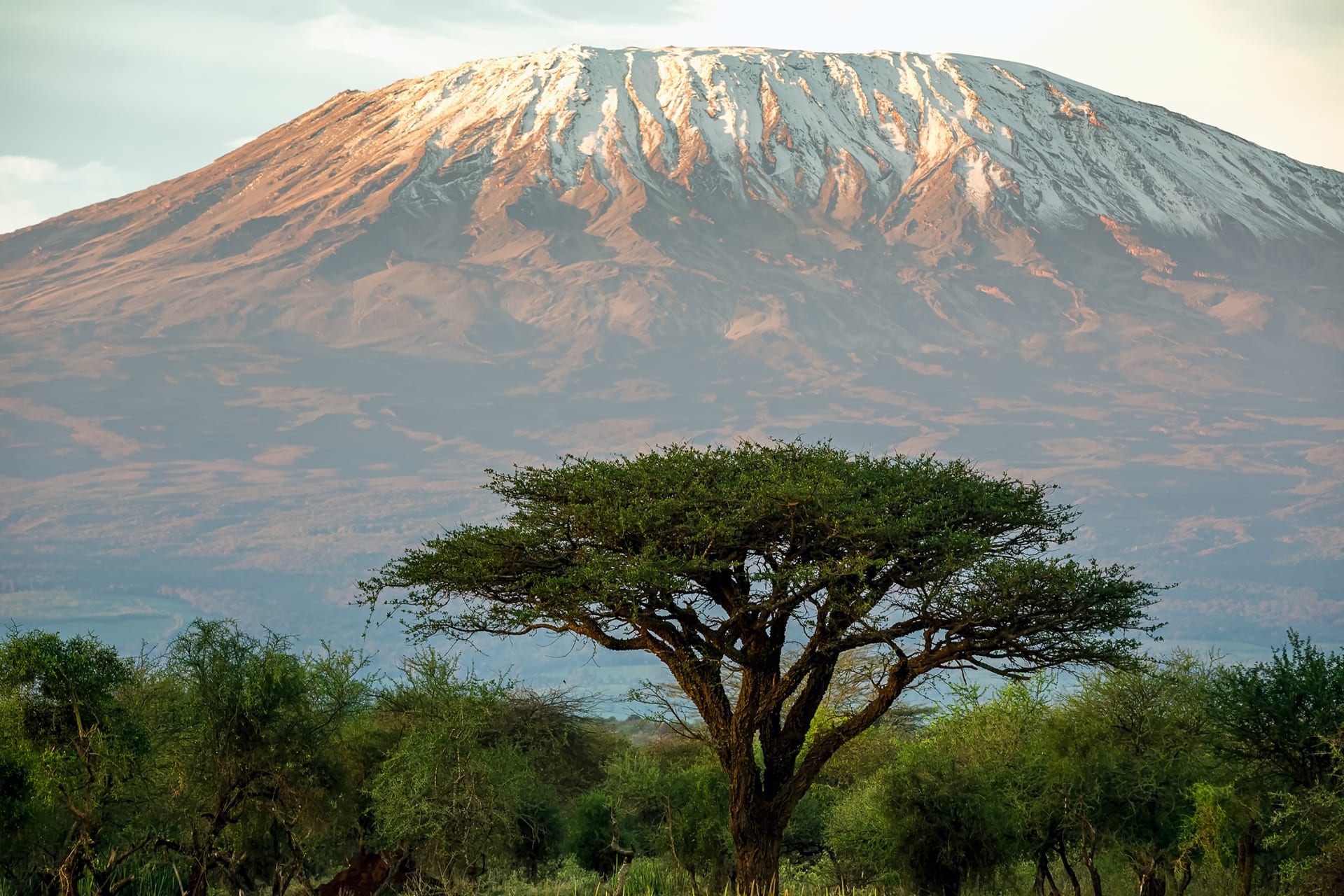 Nejvyšší hora Afriky Kilimandžáro