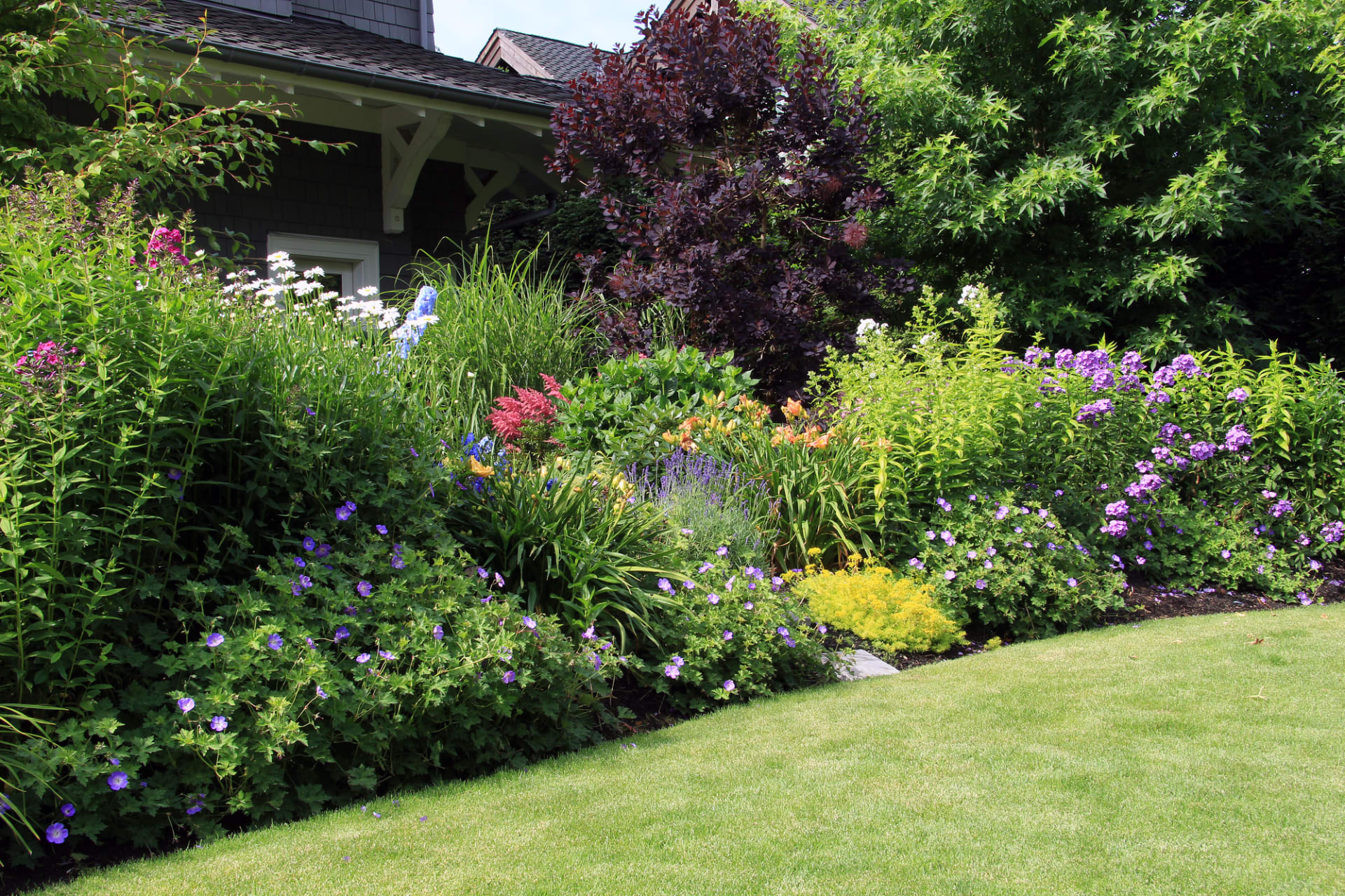 Rozkvetlé trvalkové záhony patří k ozdobám zahrady