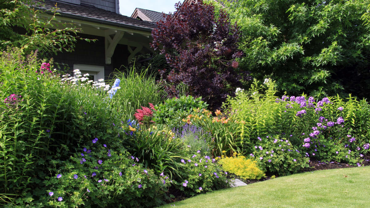 Rozkvetlé trvalkové záhony patří k ozdobám zahrady