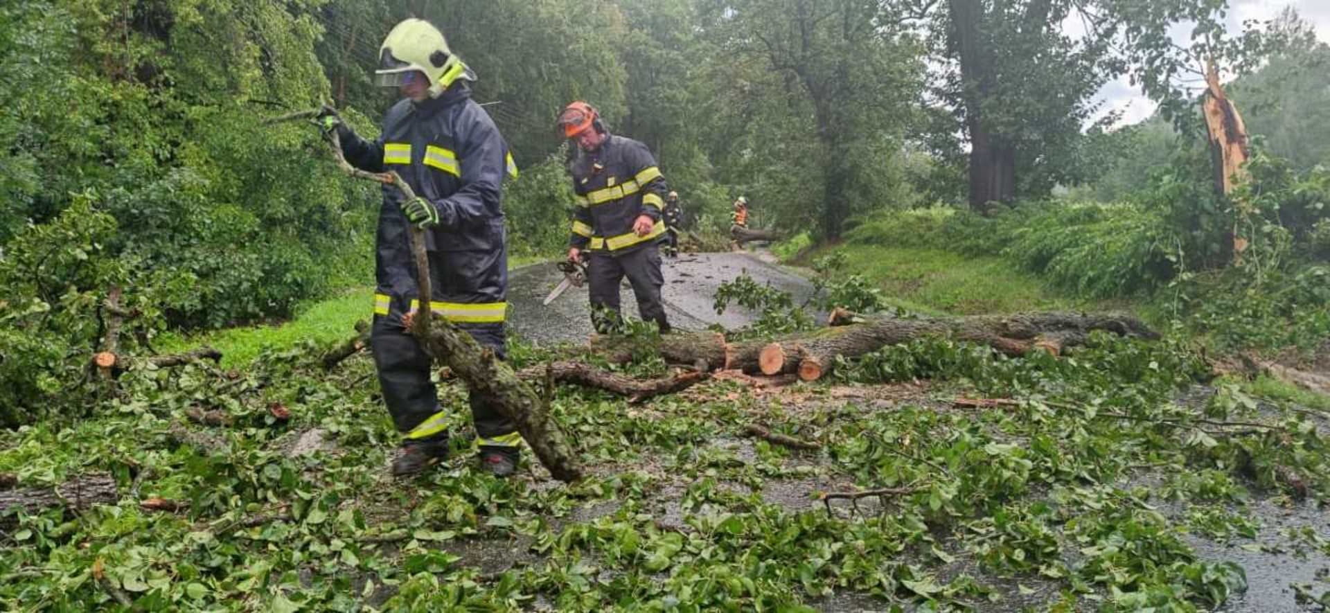 Voda natekla do sklepů na několika místech ve městě, v ulici U Koupaliště zatopila viadukt. V Boleticích nad Labem, části Děčína, spadly dva stromy na vozovku.