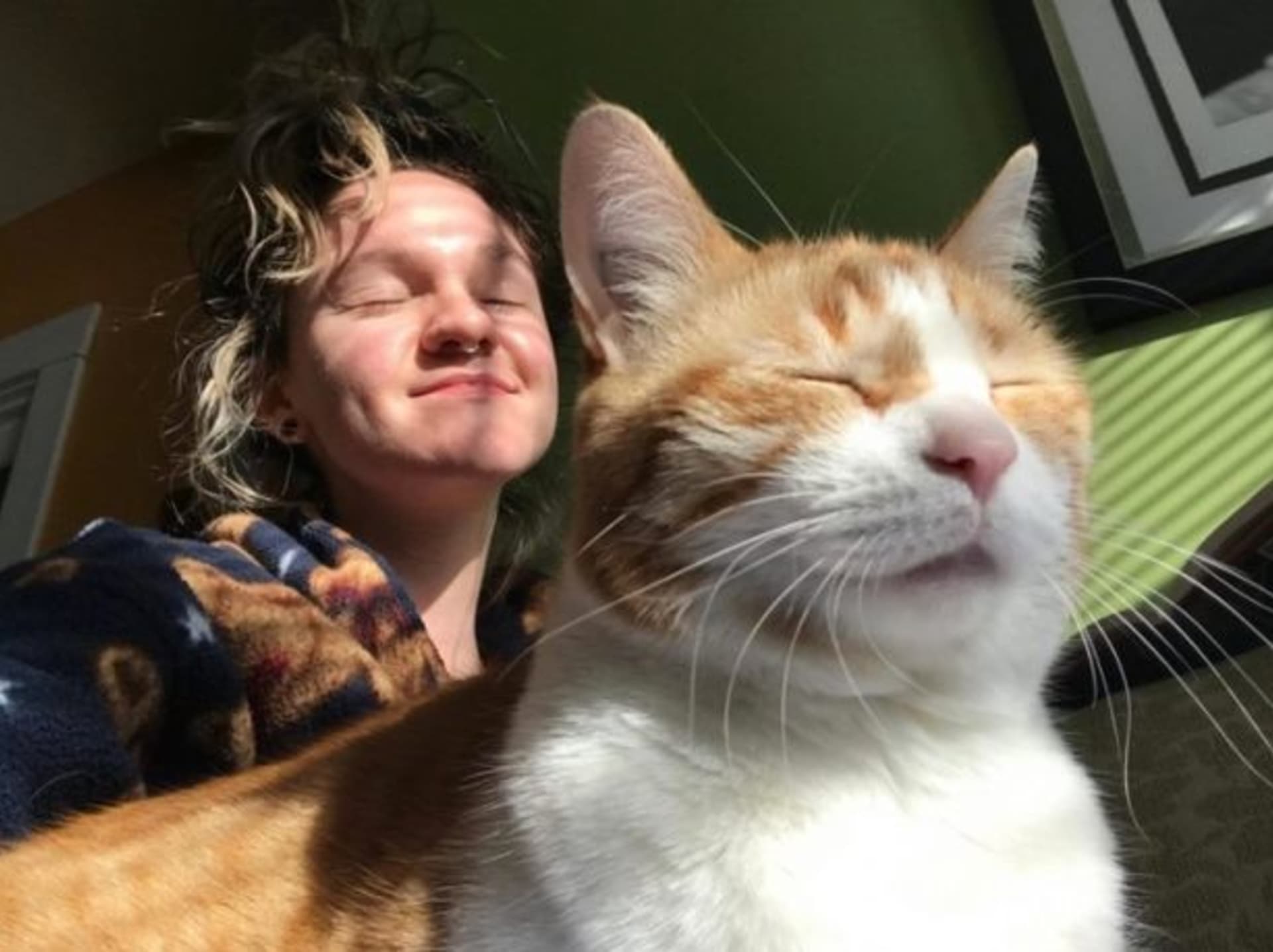 Nikdy neztrácejte naději, vzkázala Hobbinsová lidem poté, co se její kočka vrátila po kremaci domů. (Autor: Desiree Hobbins)
