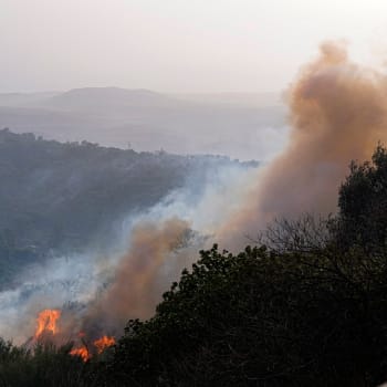 Lesní požáry vypukly na Sardinii v sobotu a dosud zničily na 20 tisíc hektarů porostu.