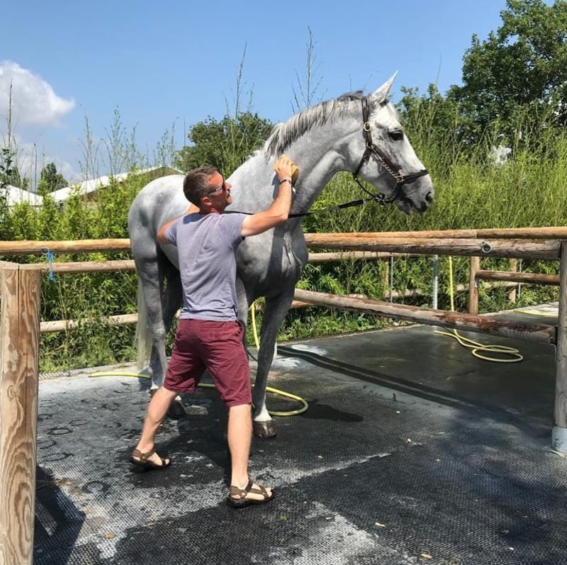 Ondřej Zvára ošetřuje svého koně Cento Lano (autor: Ondřej Zvára)