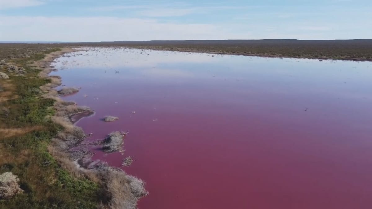Růžová jezera v Argentině