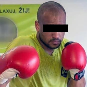Boxer Alain B.