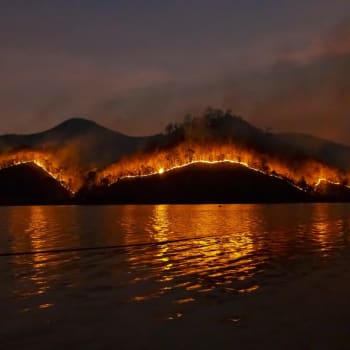 Sucho a požáry nezuří jen v Evropě. Odborníci je připisují změně klimatu.
