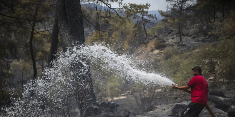 Muž v Turecku se snaží zachránit od ohně rozpálený strom.