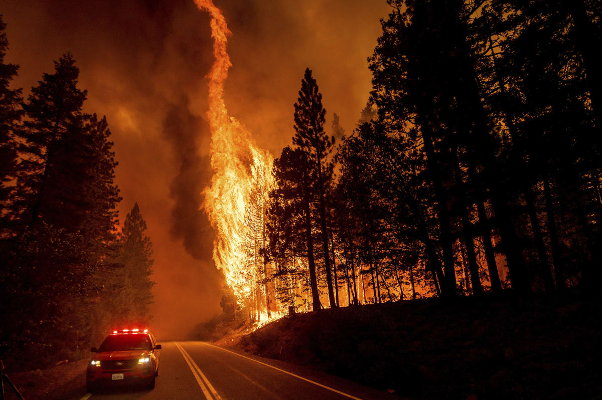 Kalifornii sužují lesní požáry.