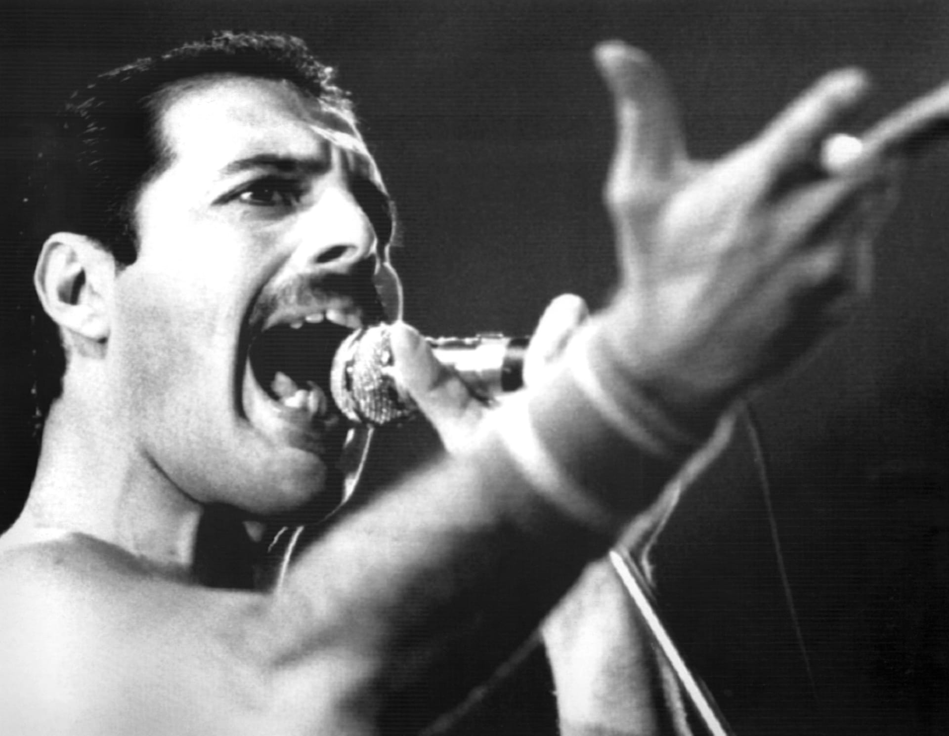 Freddie Mercury byl nadaný skladatel, originální umělec a zpěvák skupiny Queen.