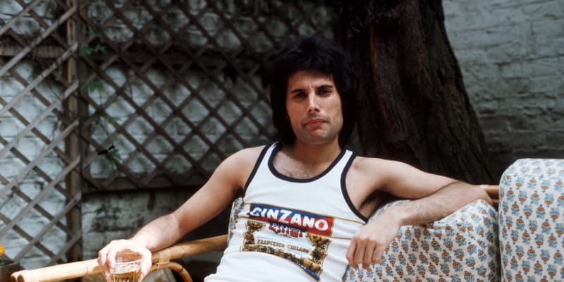 Hvězda skupiny Queen Freddie Mercury