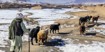 Jak se v Afghánistánu dělala demokracie: Miliardy rozházené za kozy, vily a letadla