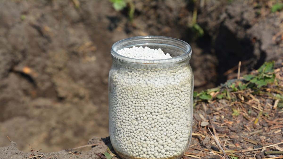 Granulované komplexní hnojivo je zdrojem všech potřebných výživových prvků