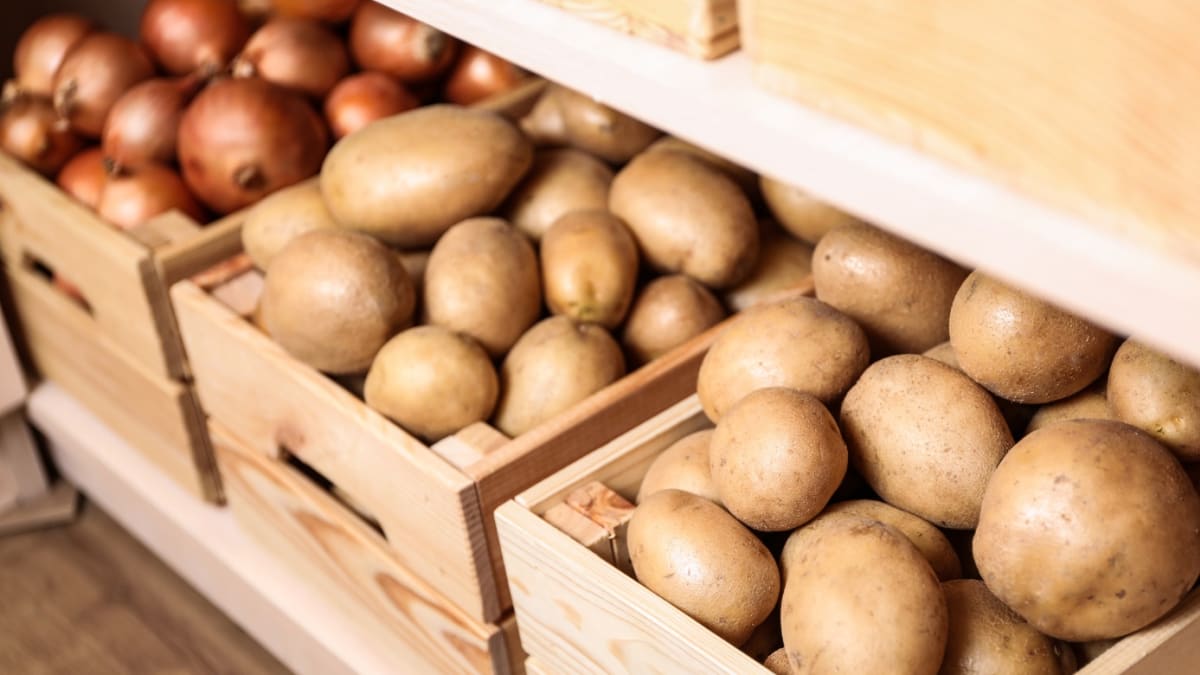 Dbejte na to, aby skladovací místnost měla správné podmínky, jinak se brambory znehodnotí