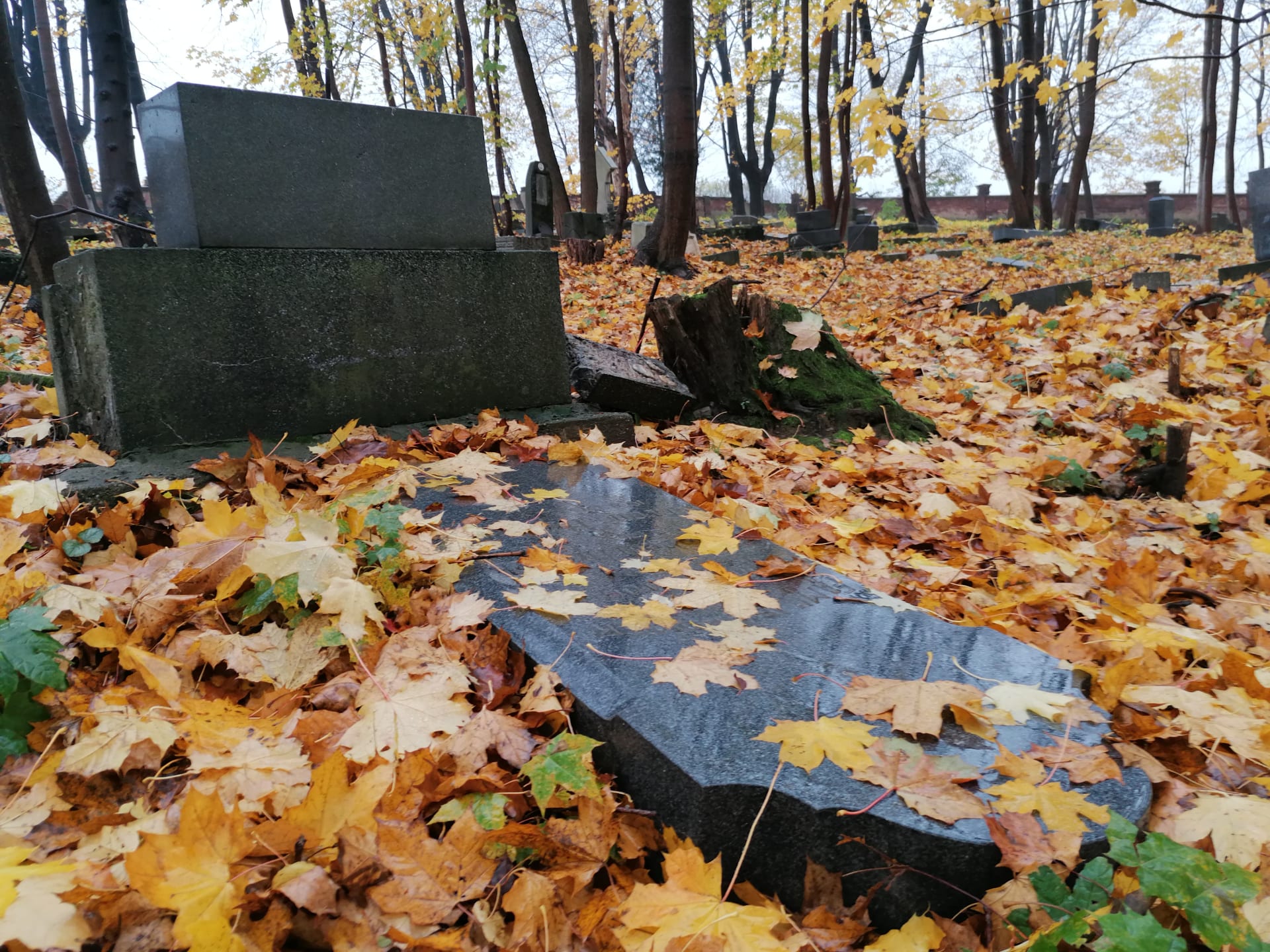 Zdevastované náhrobky na německém hřbitově v Krnově-Chomýži. Listopad 2020