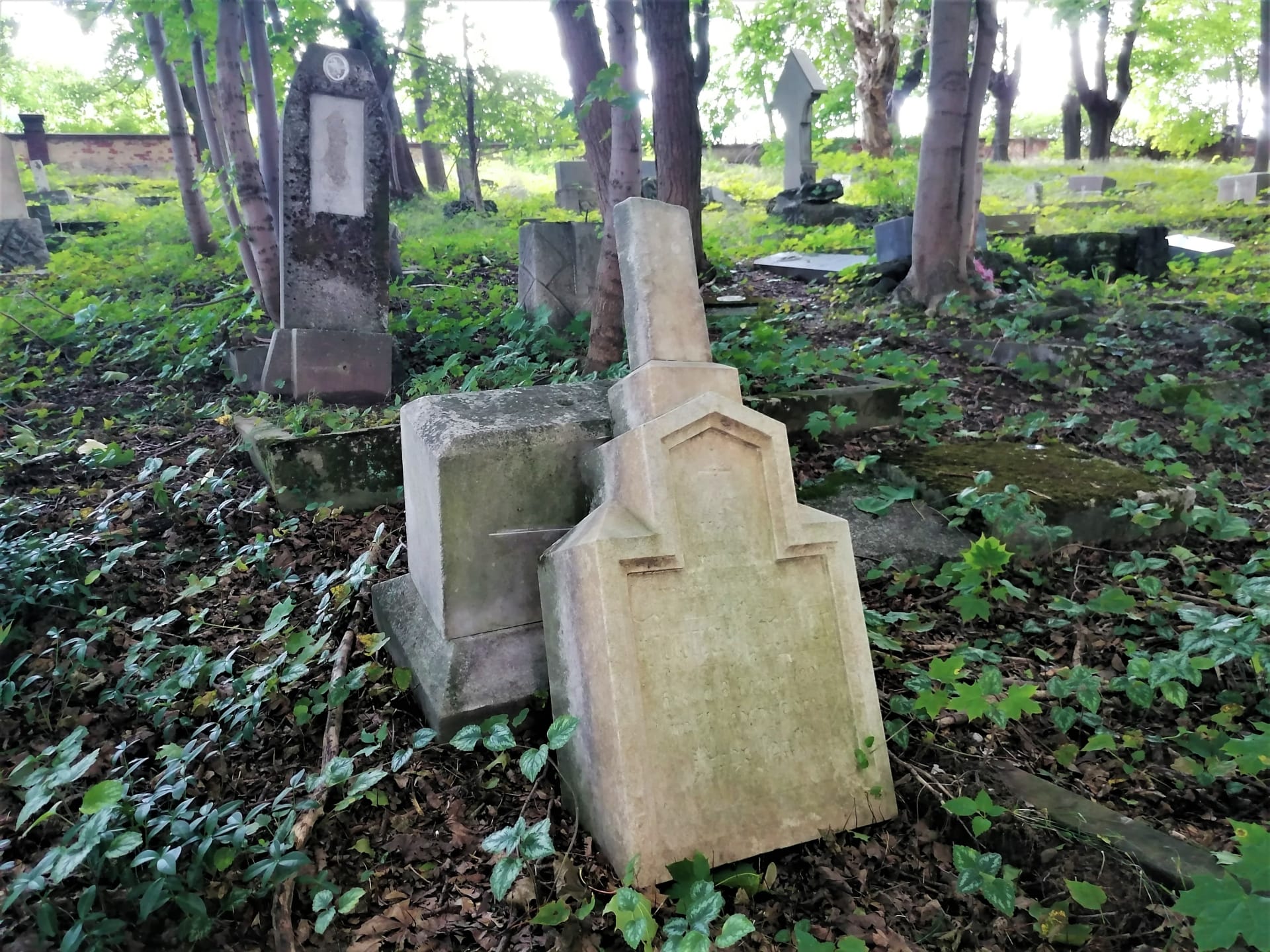 Žalostná stav německého hřbitova v Chomýži. Září 2021