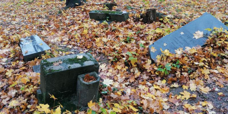 Povalené a polámané náhrobky na německém hřbitově v Krnově-Chomýži. Listopad 2020