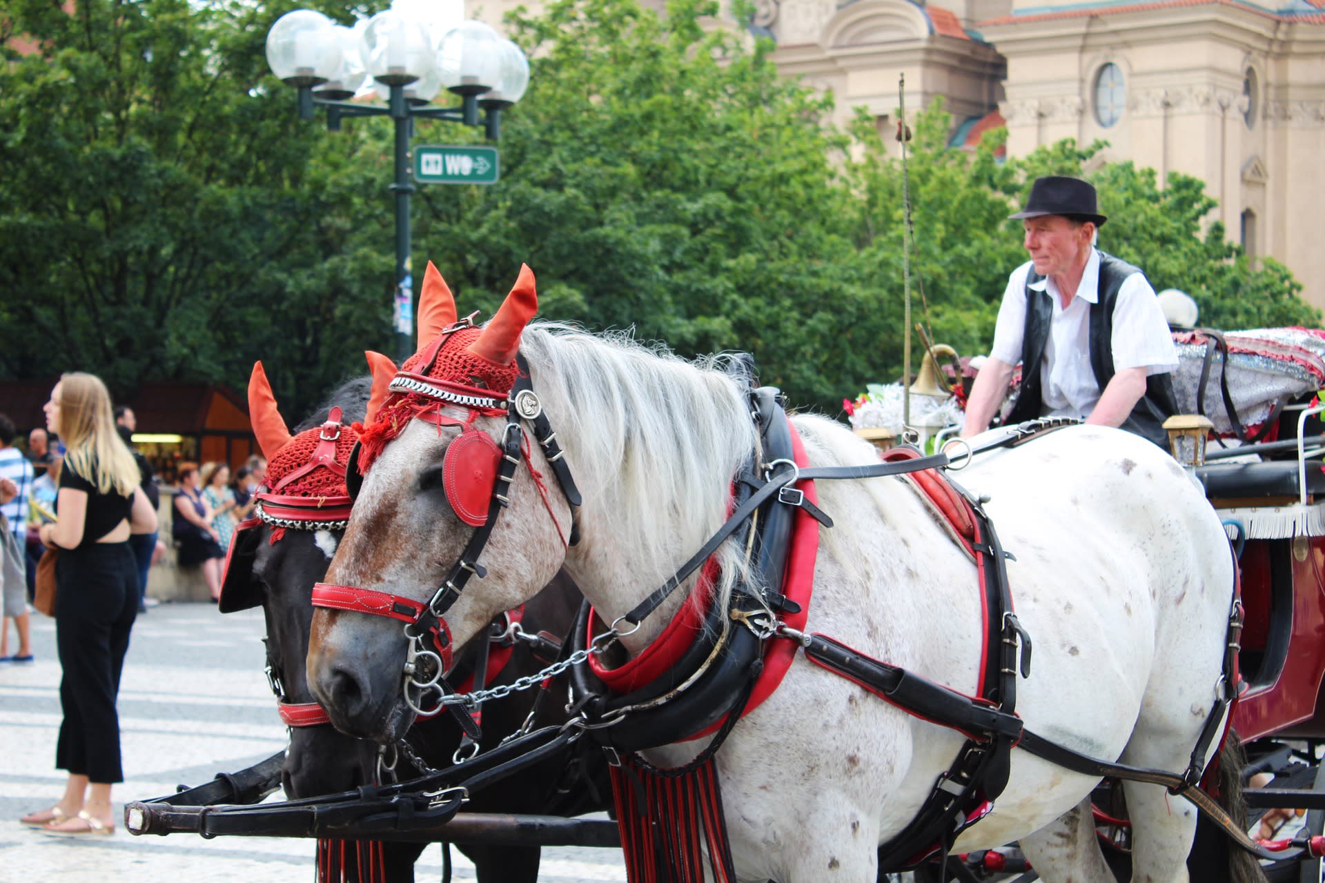 Koňské povozy v Praze budí emoce, mají své odpůrce i zastánce. Foto: Pixabay.com