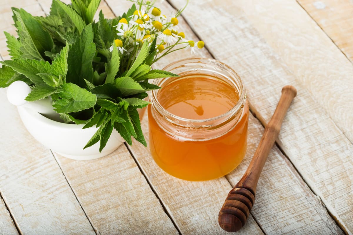 Čerstvé listy můžeme naložit do medu