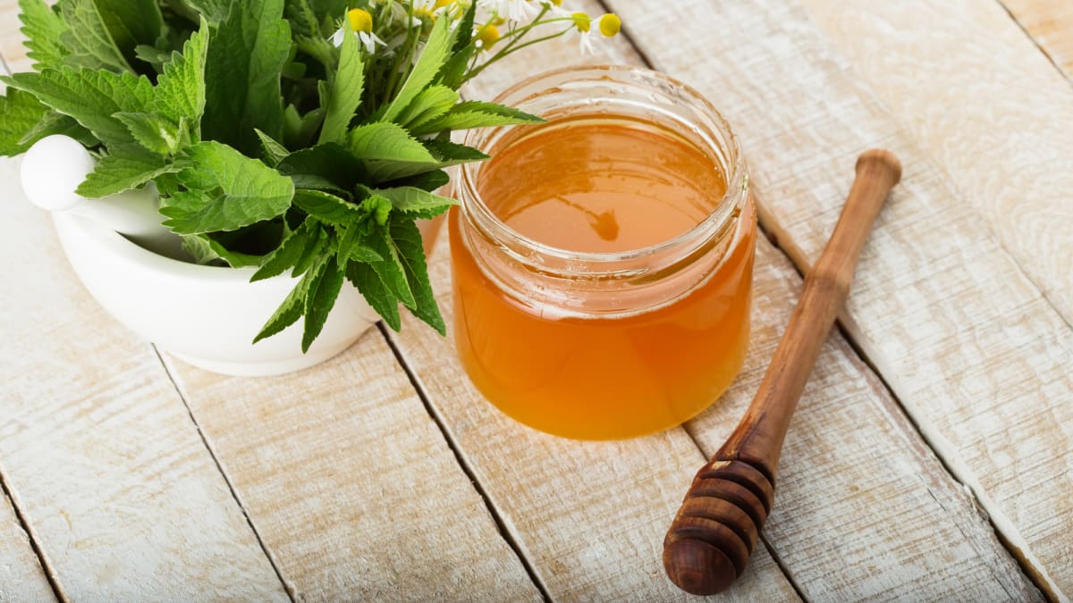 Čerstvé listy můžeme naložit do medu