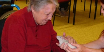 Potkani mi pomáhají najít cestu k lidem, říká Zdenka Prošková o rattusterapii
