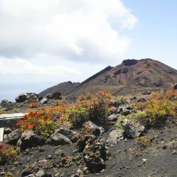 Na ostrově La Palma, který je součástí Kanárských ostrovů, hrozí erupce tamní sopky Teneguía