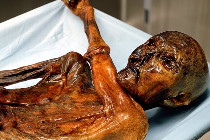 Ötzi v muzeu.