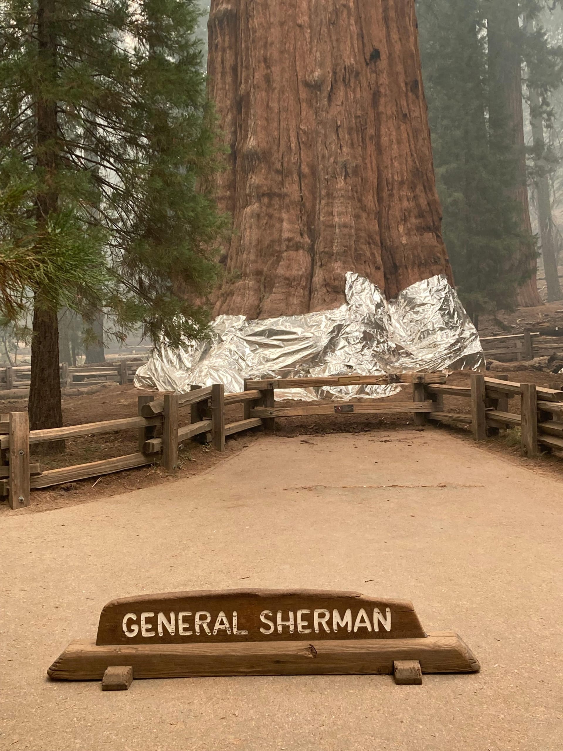 Hasiči obalují sekvojovce v parku Sequoia.