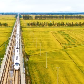 Čínská vysokorychlostní trať mezi rýžovým polem.