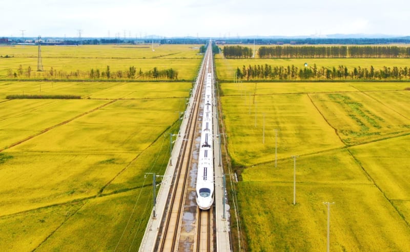 Čínská vysokorychlostní trať mezi rýžovými poli.