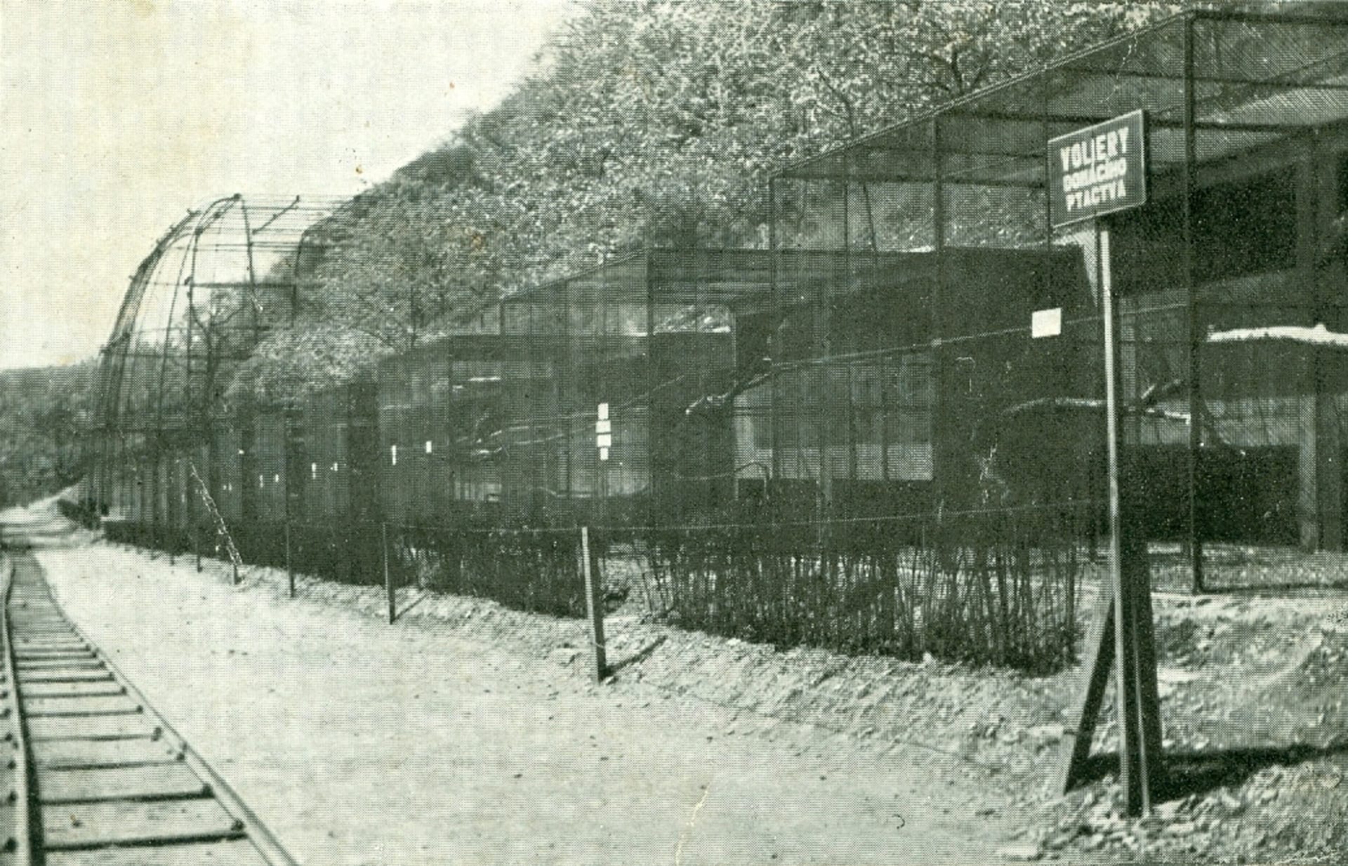 Cesta k velké voliéře z roku 1932. (zdroj: archiv Zoo Praha)