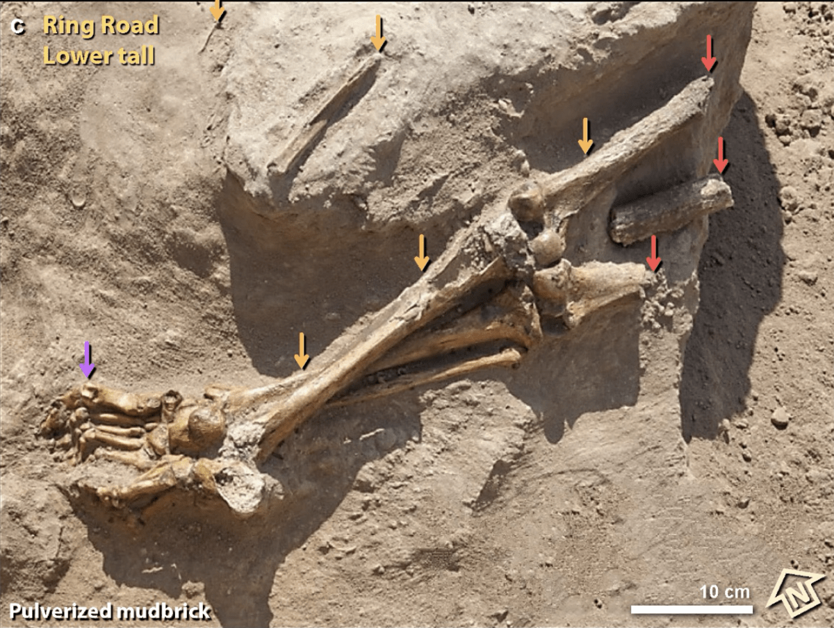 Nalezená část lidské kostry z oblasti Tall el Hammam