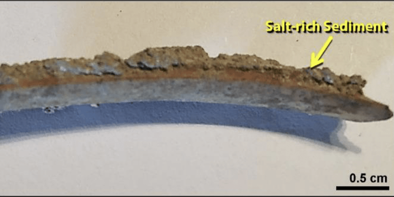 Nalezená žeberní kost s akumulací soli z oblasti Tall el Hammam