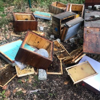 Majitel úlů se domnívá, že vandal musel být sám včelař.
