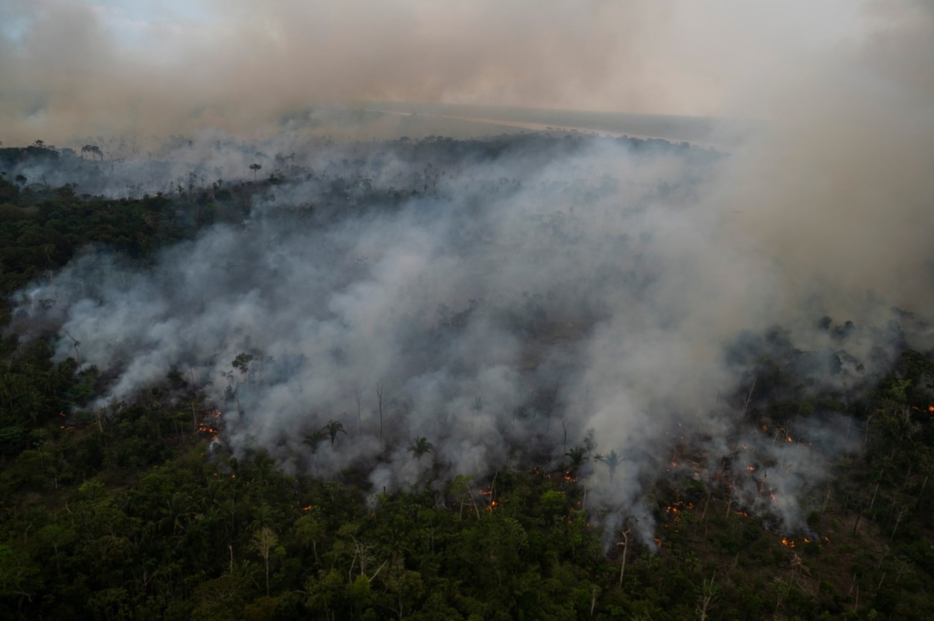 Amazonie v plamenech
