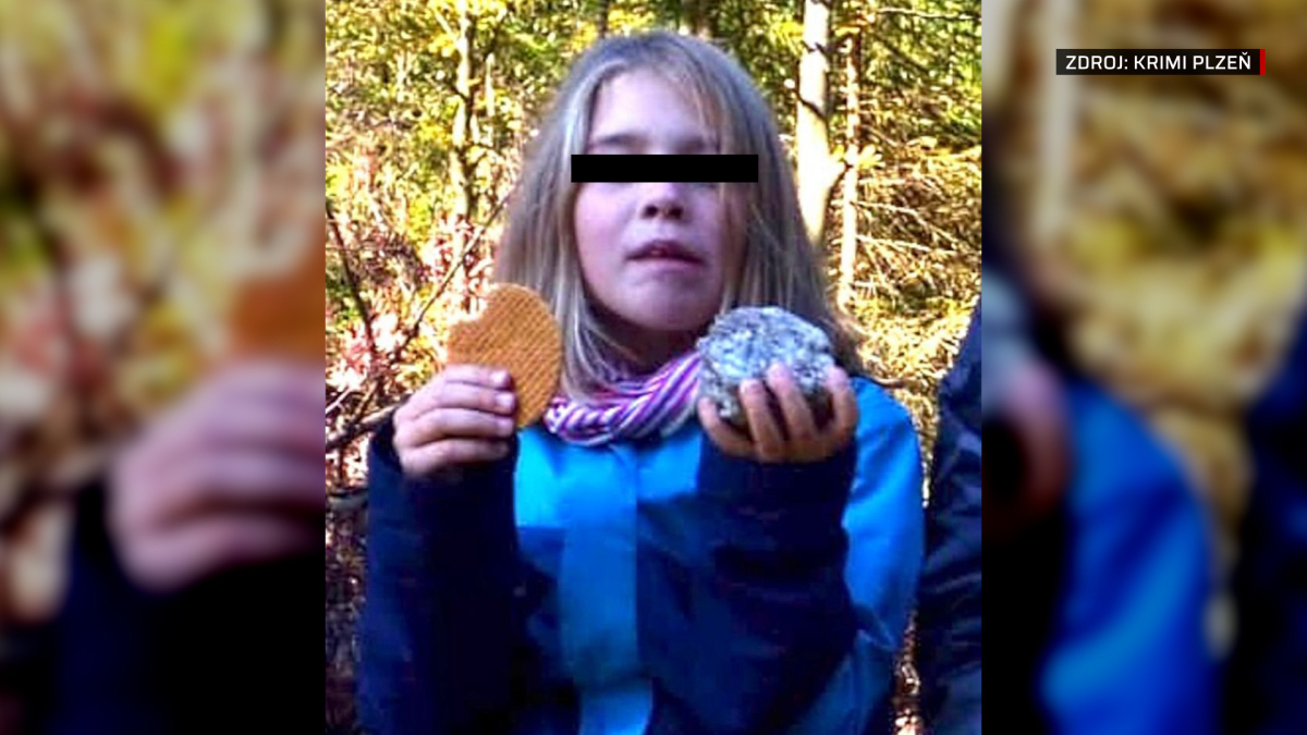 Osmiletou Němku, která se ztratila na Domažlicku, našli.