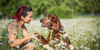 Eliška Vafková: Starým, podvyživeným a zbídačeným psům umožní hospic šťastně dožít