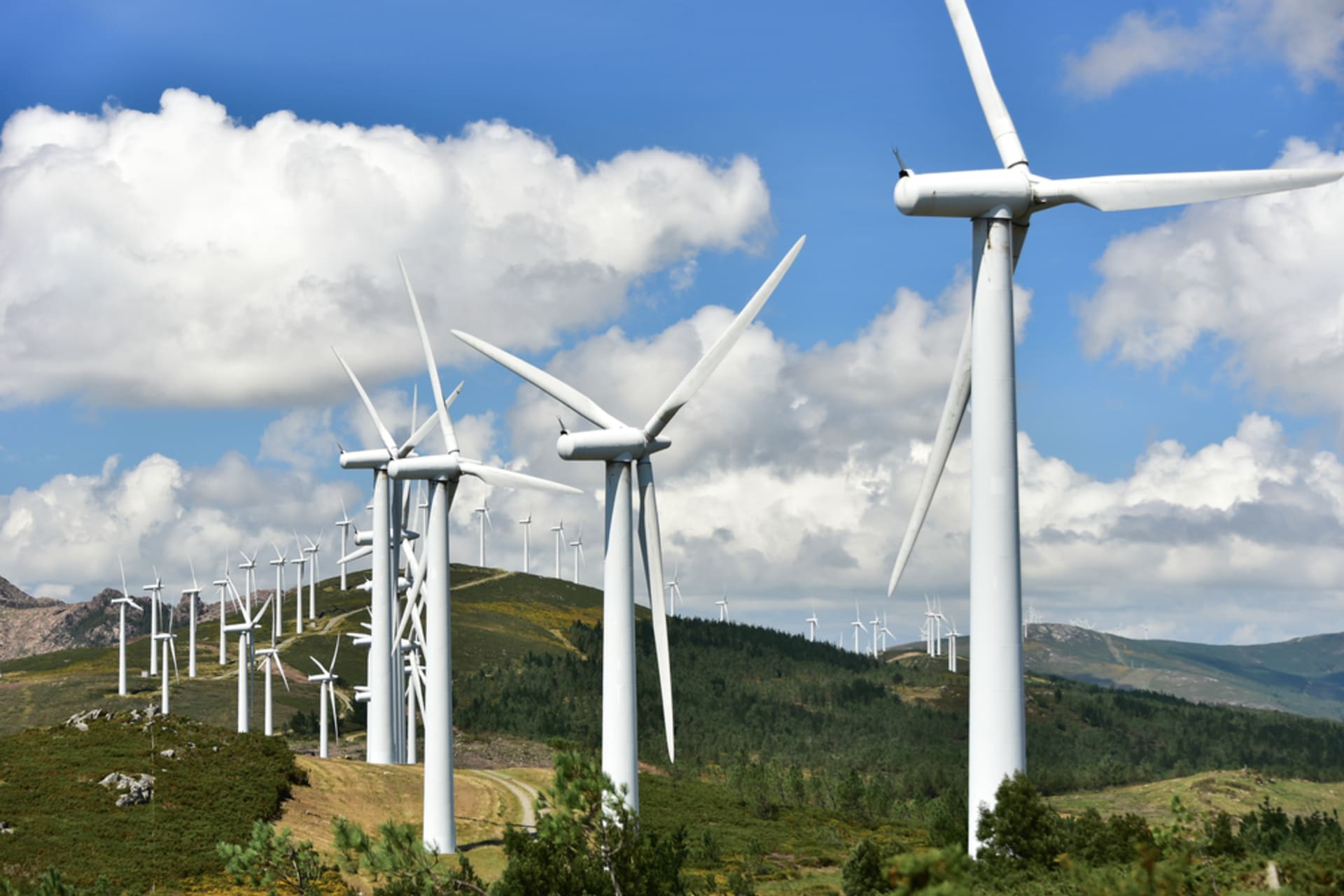 Větrné elektrárny se mají stát hlavním zdrojem energie v Evropě.