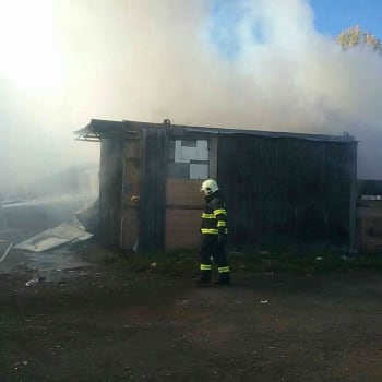 V pátek kolem dopoledne hasiči zasahovali u požáru domu v osadě. Dvě malé děti zahynuly.