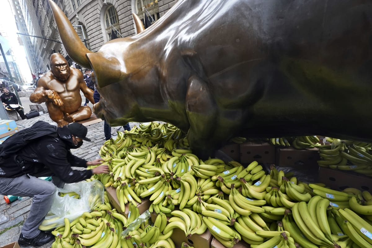 Aktivisté obklopili sochu býka na Wall Street banány.
