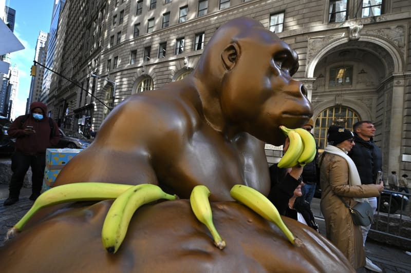 Obří socha Harambeho na Wall Street.