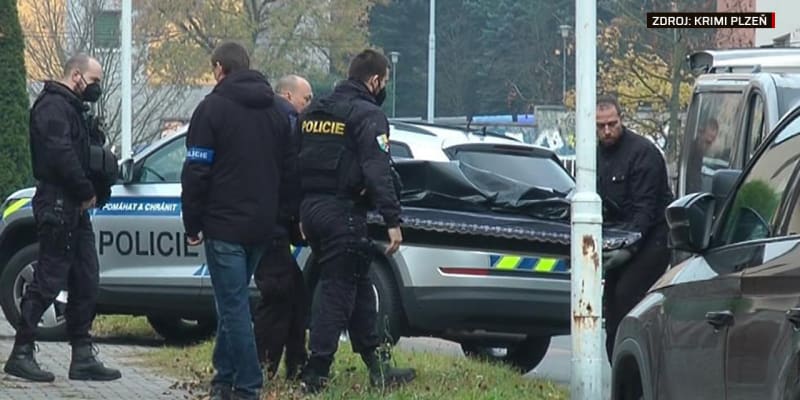V Plzni ve středu brzo ráno zemřel při policejním zákroku sedmadvacetiletý muž.