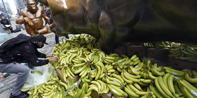 Aktivisté obklopili sochu býka na Wall Street banány.
