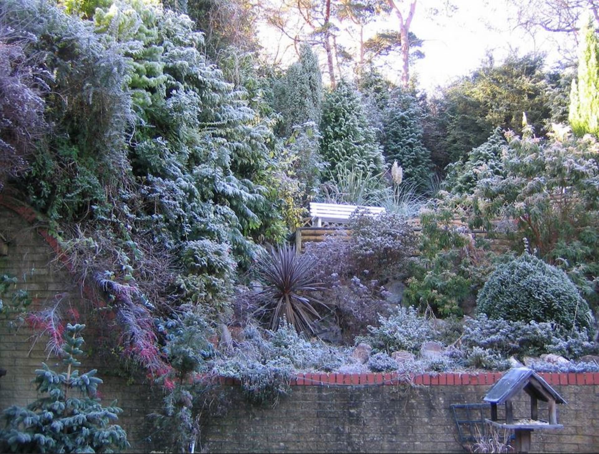 Zahrada v listopadu - Obrázek 3