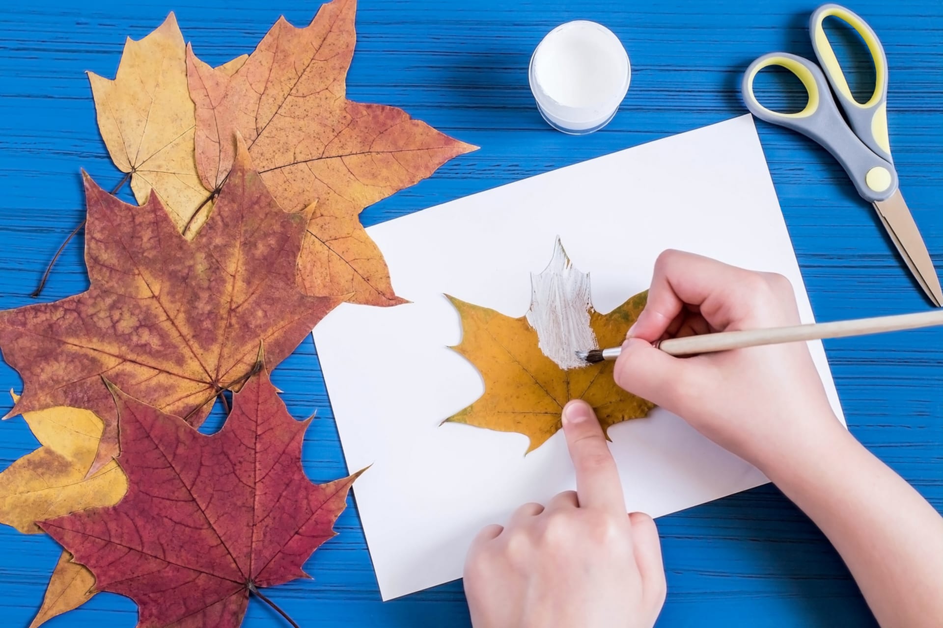 Strašidýlka z podzimních javorových listů: 1. krok: natřete listy barvou