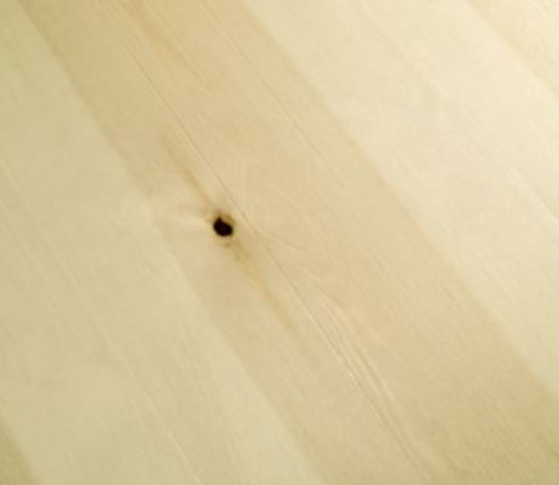 Poškozená dřevěná podlaha - Obrázek 1