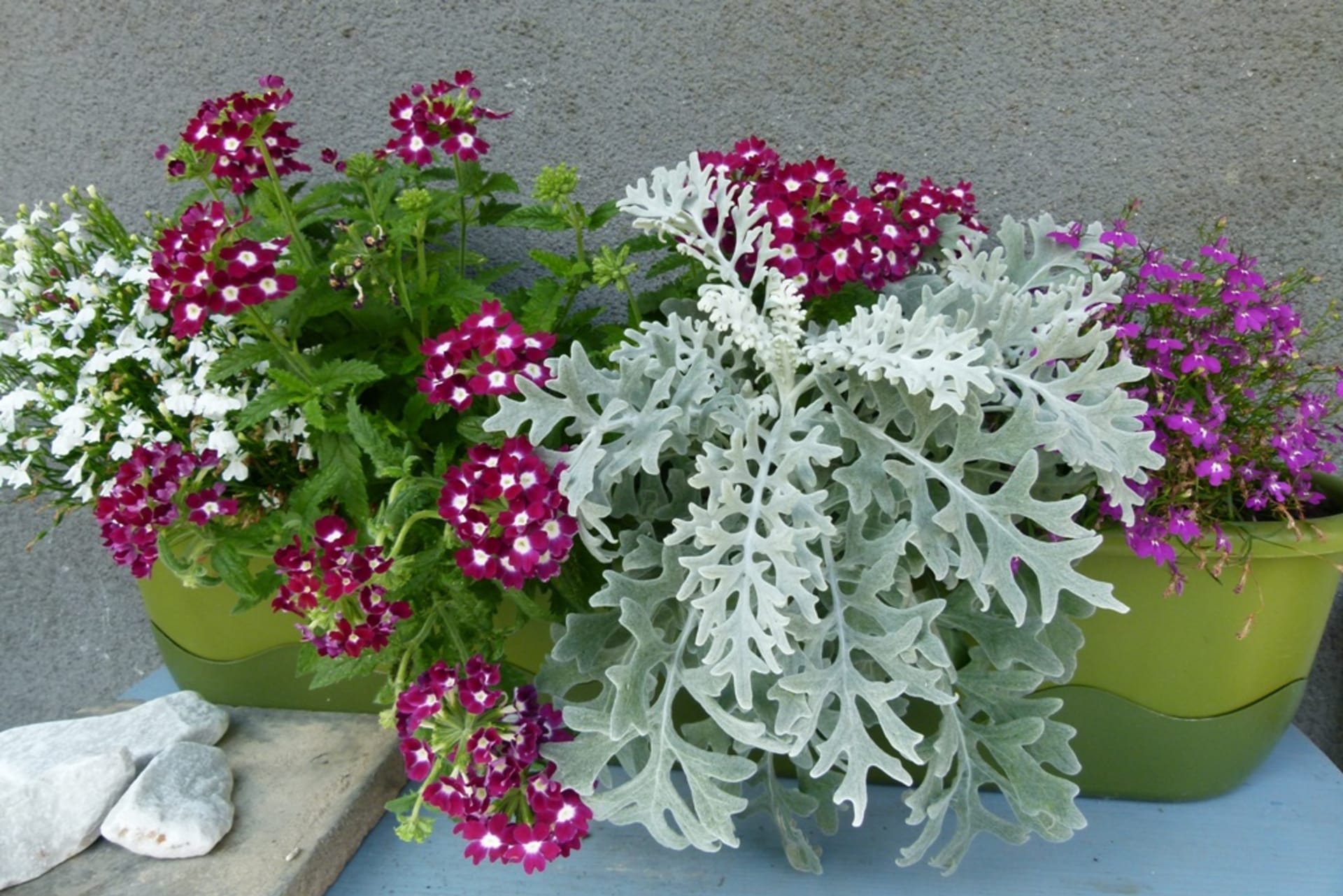Samozavlažovací truhlíky: Jak pěstovat květiny a zeleninu na balkoně i bez každodenního zalévání 1