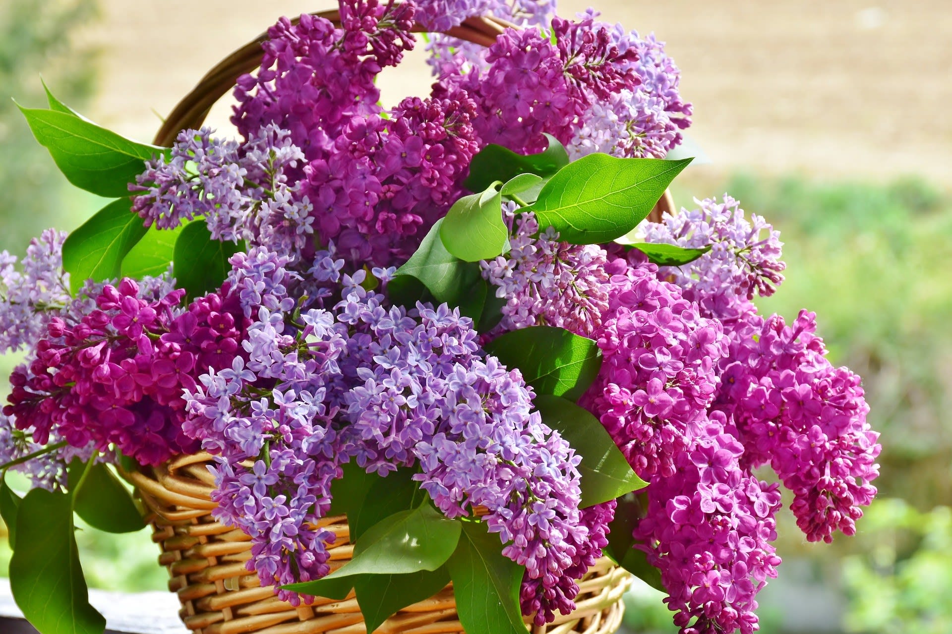 Někomu může v ložnici vadit příliš pronikavá vůně některých květů, zejména šeříku (Syringa), lilií(Lilium) nebo konvalinek (Convallaria).