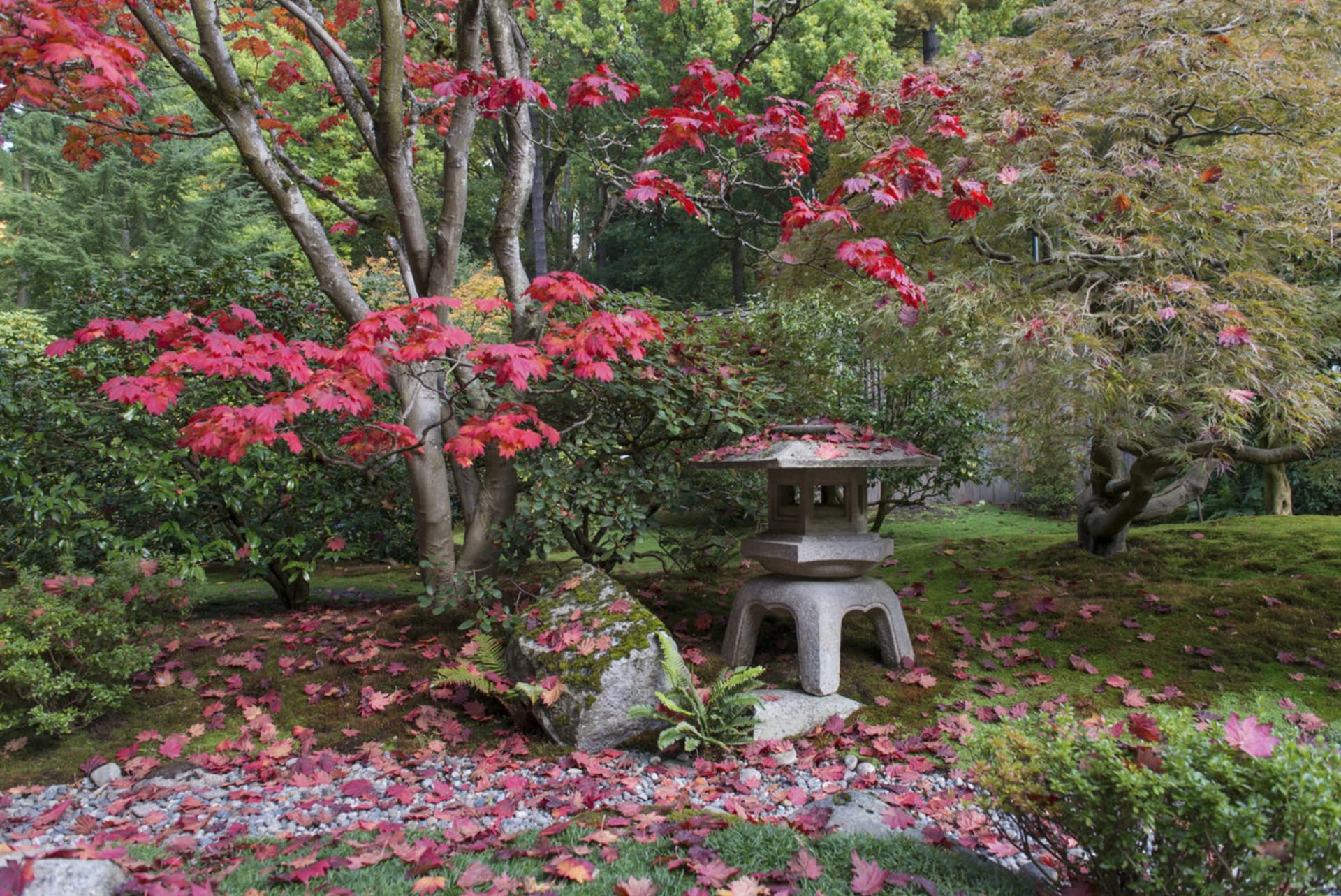 Japonské zahrady - Obrázek 2