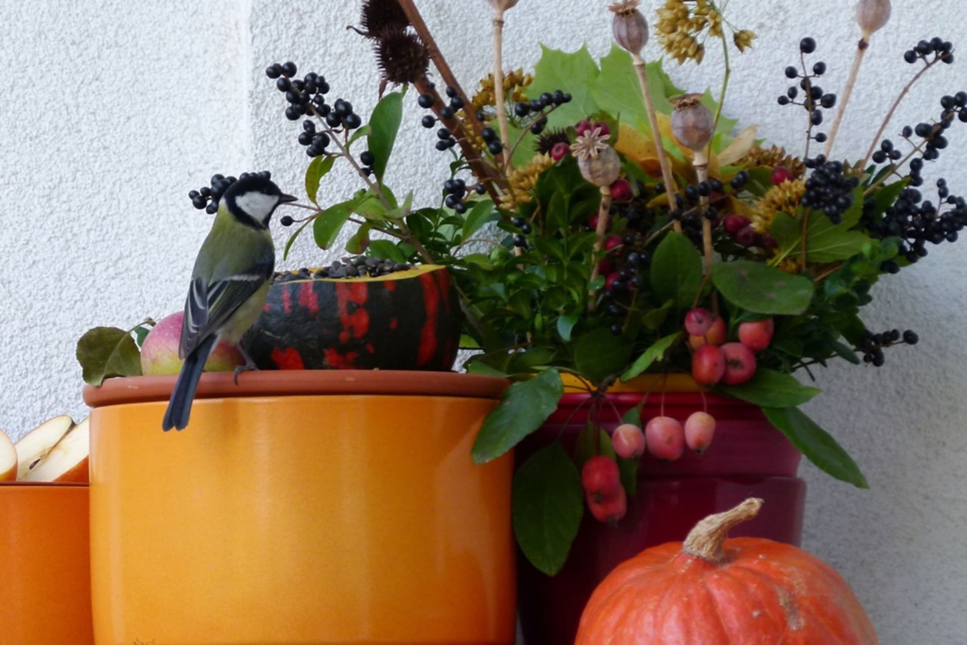 Ptačí hostina na balkoně: Podzimní dekorace a krmítko v jednom 7