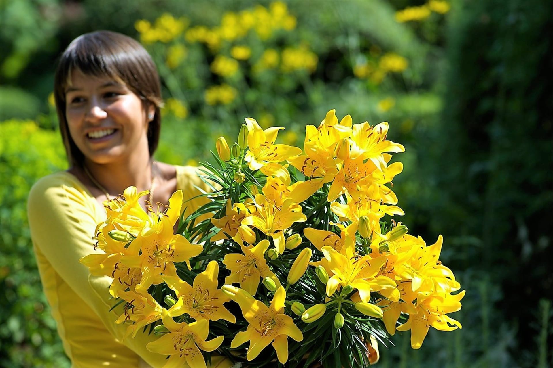 9 kroků, jak vysadit na jaře lilie na zahradě. Kochejte se krásou květů celé léto